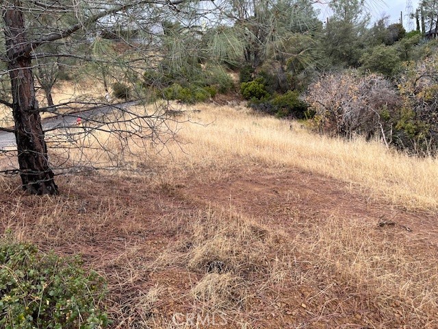 12170 Cerrito Property Photo 5