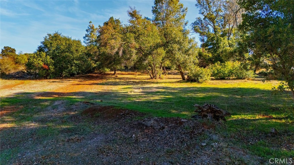 16218 24th Ave Property Photo 3
