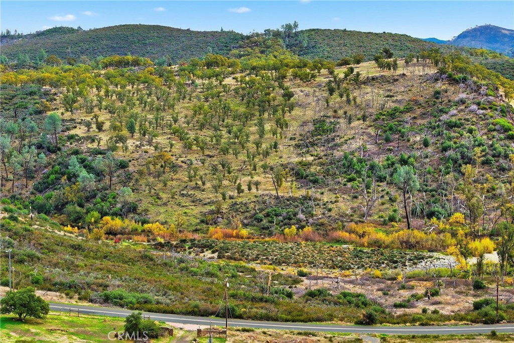 21612 Yankee Valley Property Photo 14