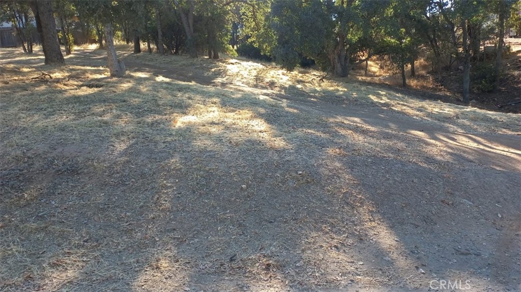 3882 Pine Property Photo 1