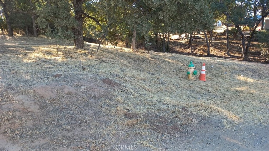 3882 Pine Property Photo 2