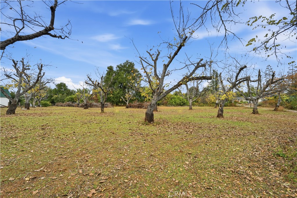13035 Anderson Road Property Photo 33