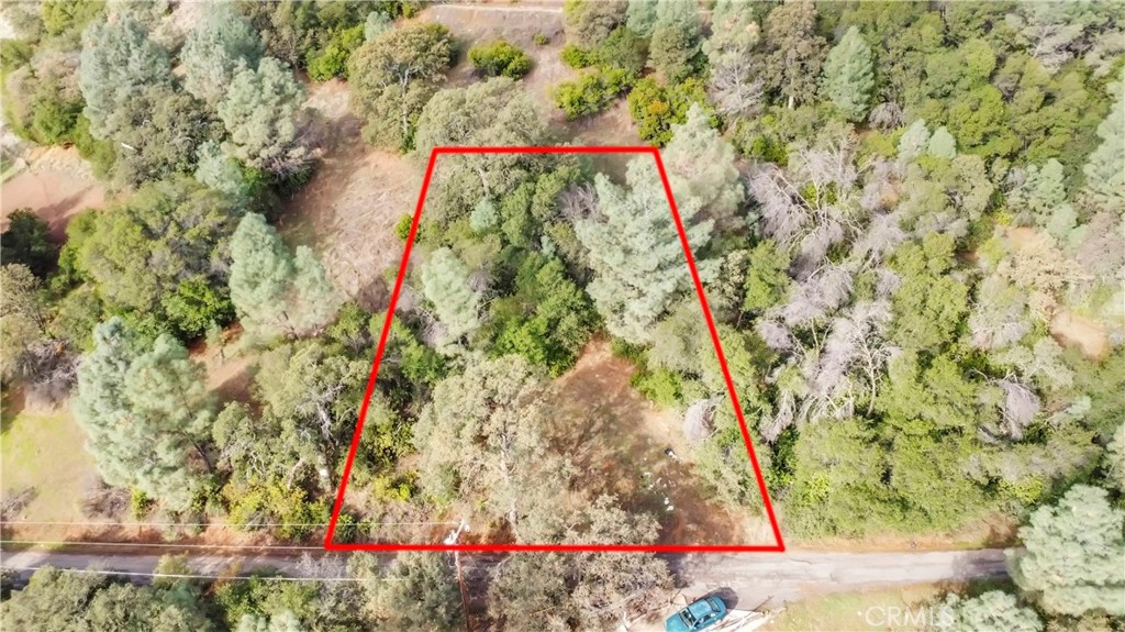 12636 Lakeview Property Photo 3