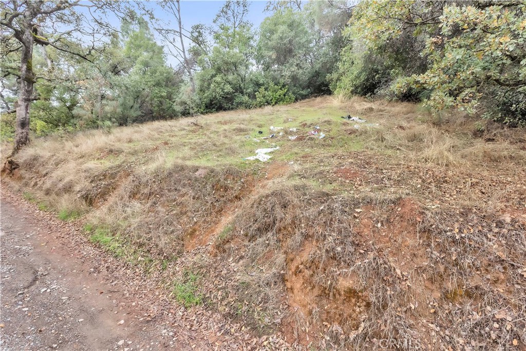 12636 Lakeview Property Photo 5