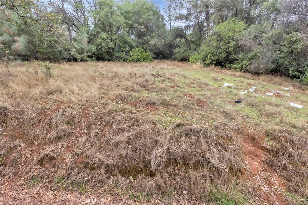 12636 Lakeview Property Photo 6