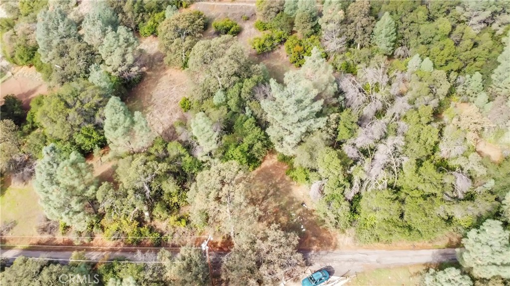 12636 Lakeview Property Photo 9