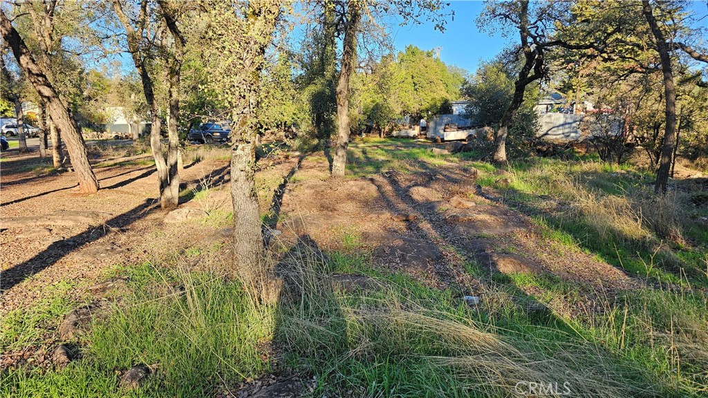 16287 17th Avenue Property Photo 6
