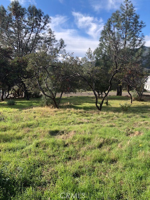 5308 Olympia Drive Property Photo 1