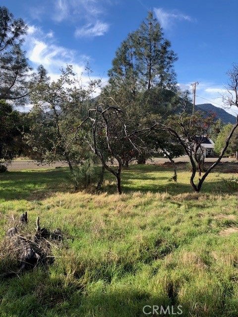 5308 Olympia Drive Property Photo 3