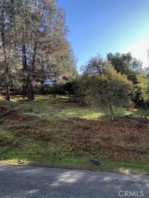 5308 Olympia Drive Property Photo 4