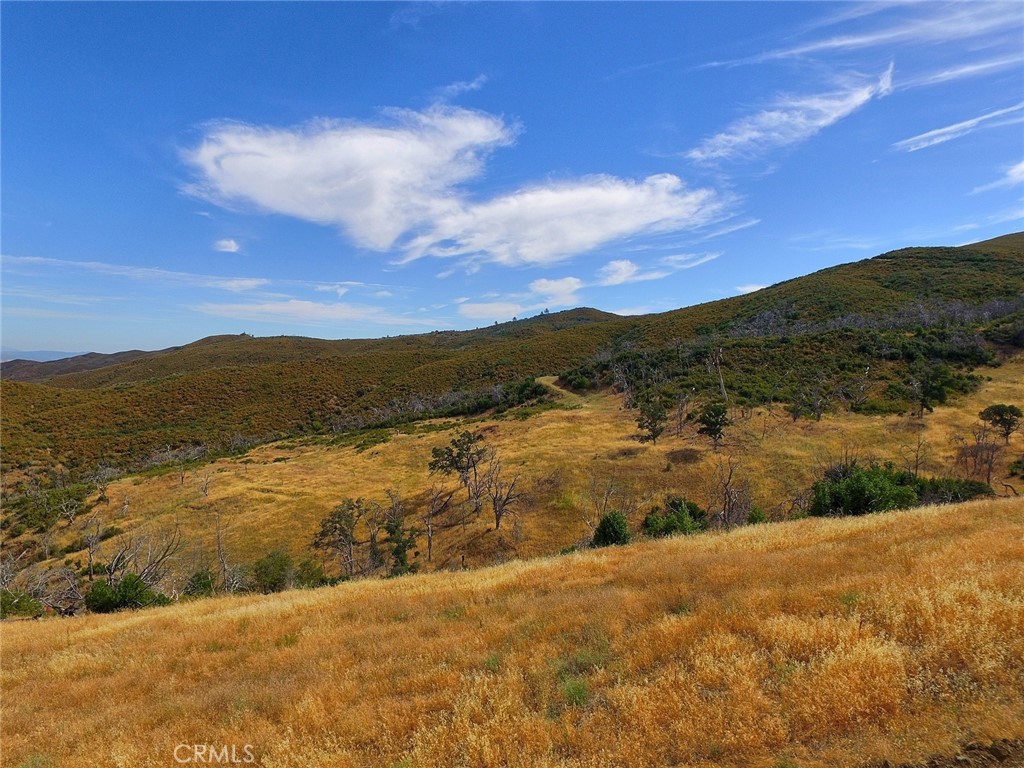 20808 Morgan Valley Road Property Photo 1