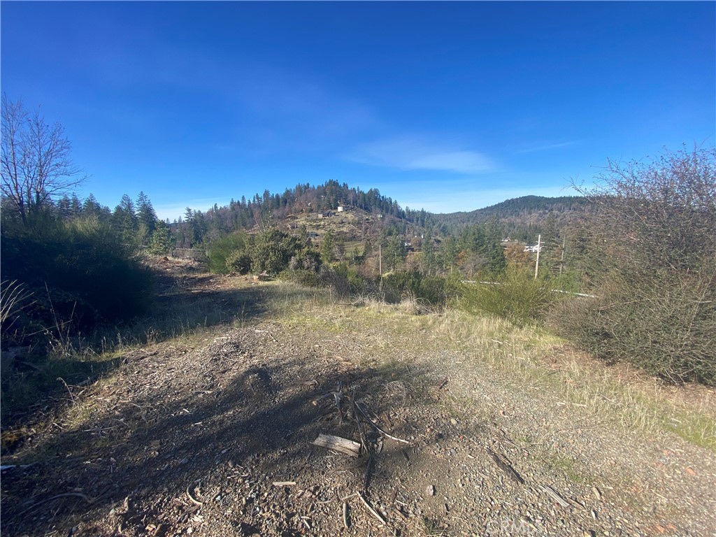 14733 Dove Drive Property Photo 1
