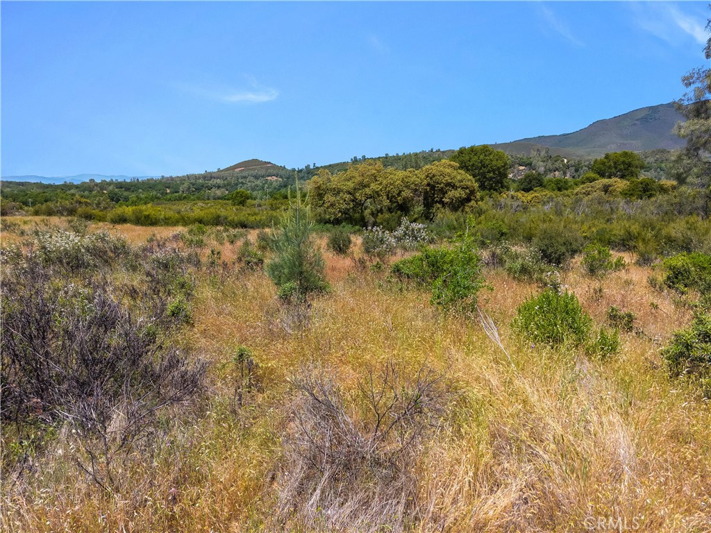 8152 Bottle Rock Road Property Photo 26