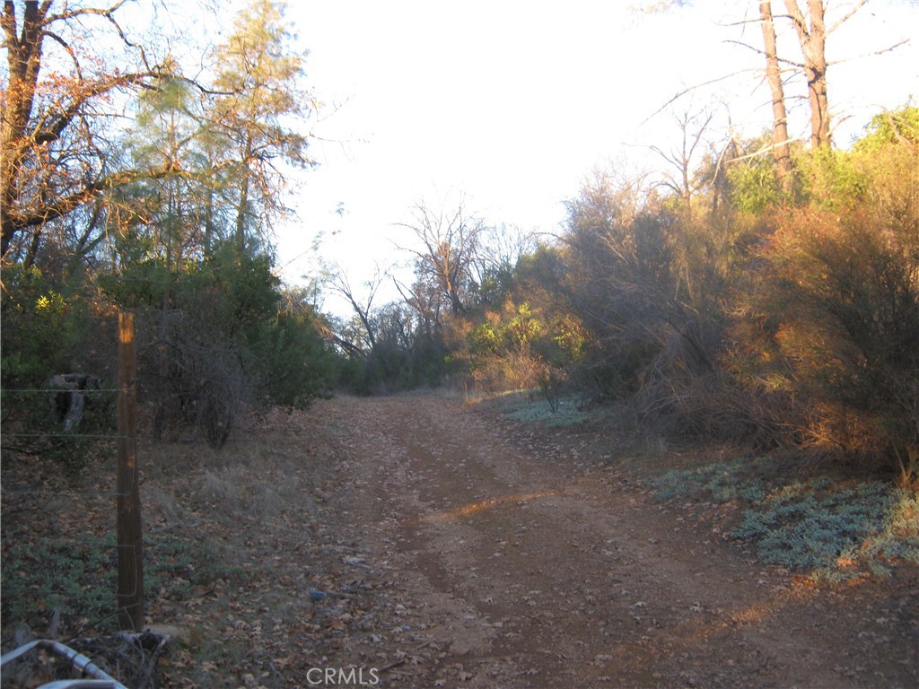 9000 S State Highway 29 Property Photo 2