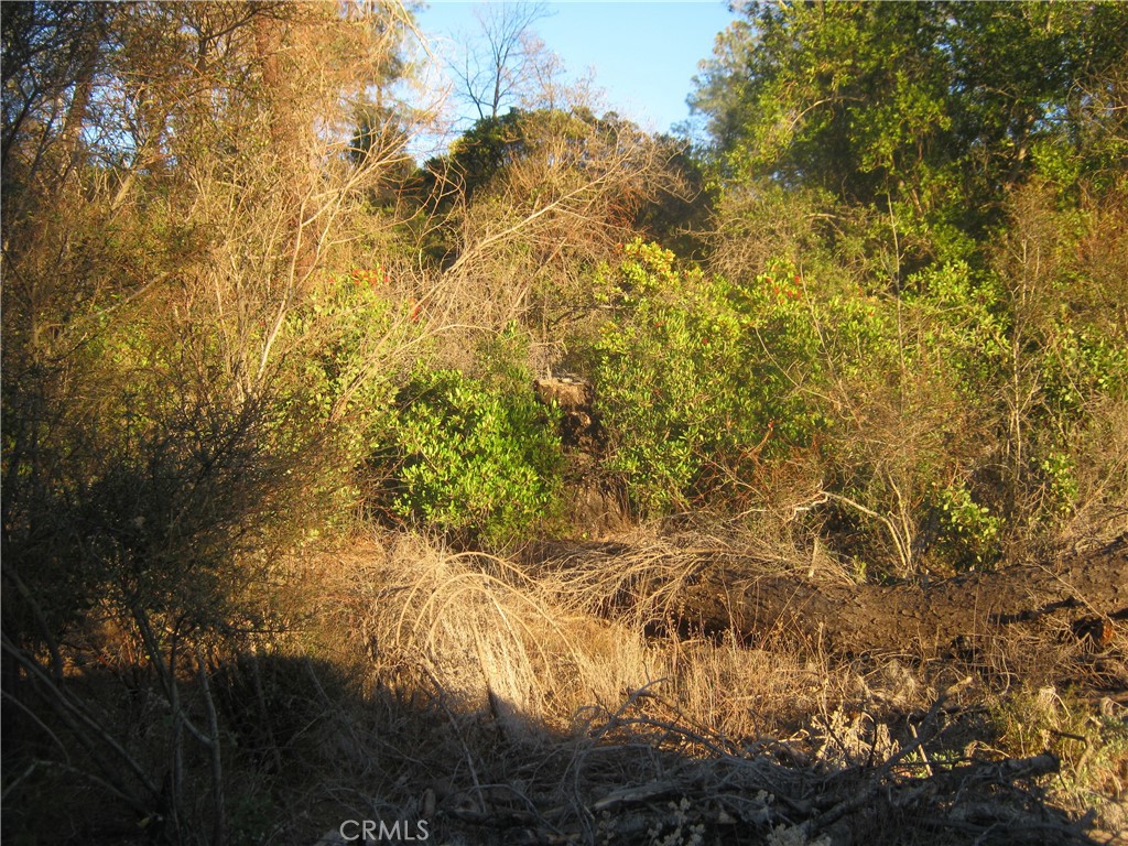 9000 S State Highway 29 Property Photo 3