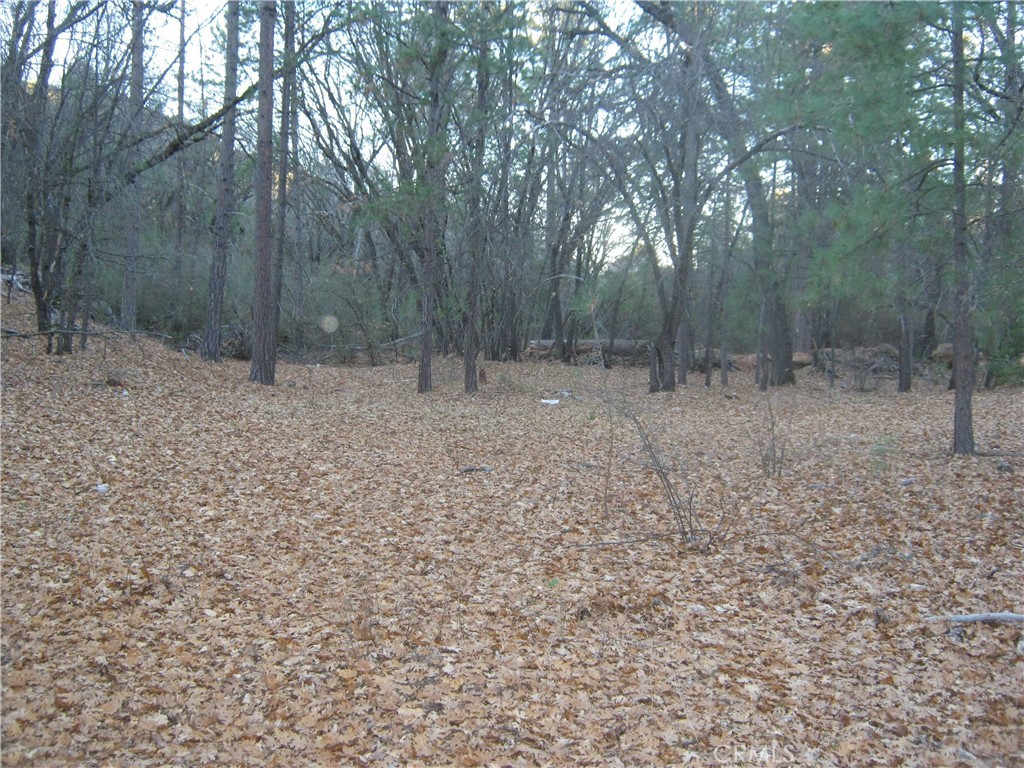 9000 S State Highway 29 Property Photo 5