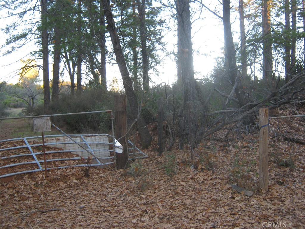 9000 S State Highway 29 Property Photo 9