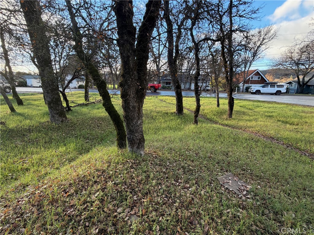 18796 Hidden Valley Property Photo 5