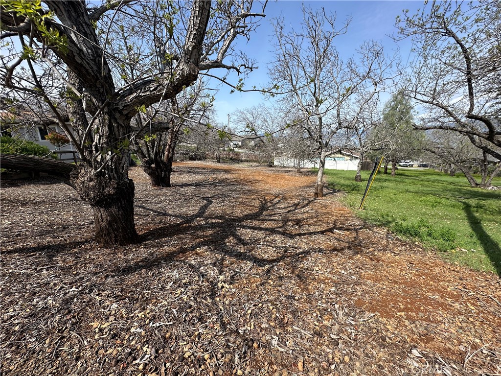 3165 Marina View Drive Property Photo 3