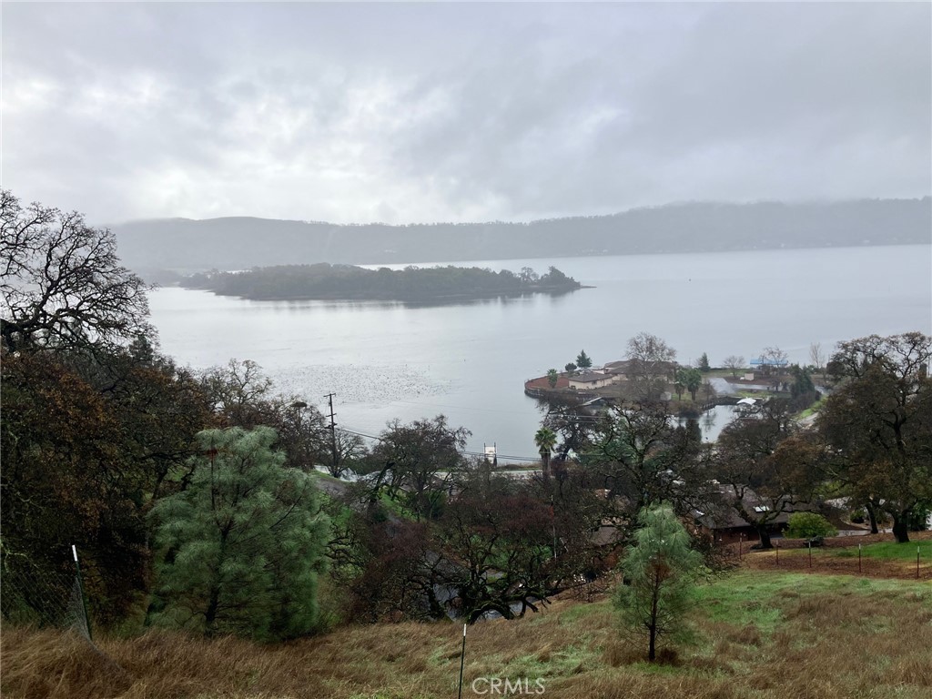 12039 Lakeview Property Photo 1