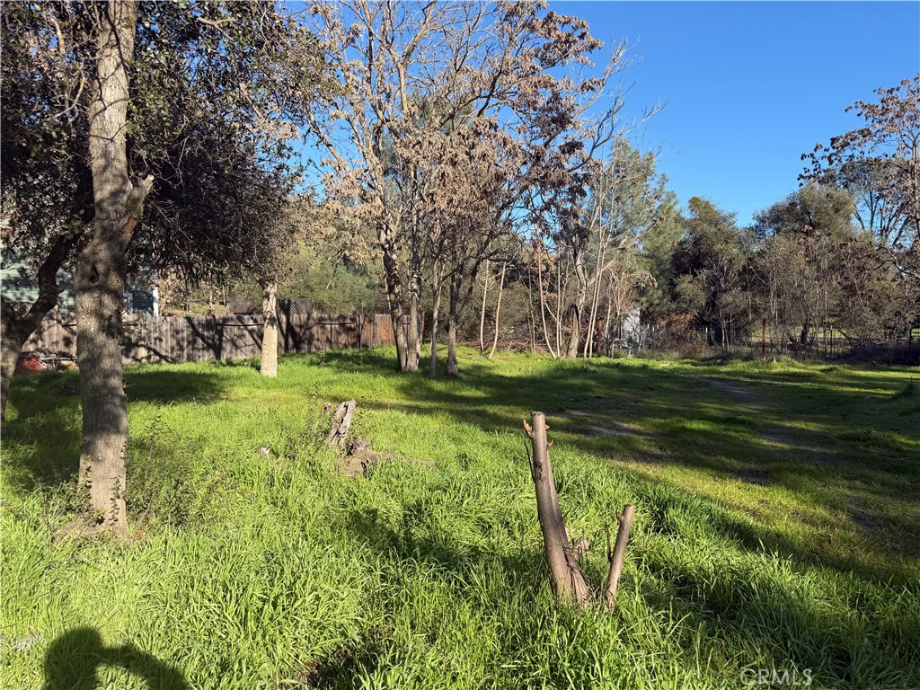 3606 Oleander Property Photo 1