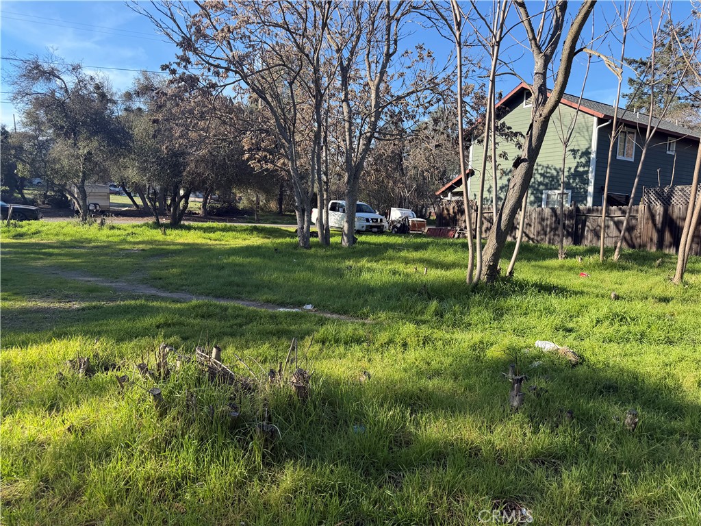 3606 Oleander Property Photo 2