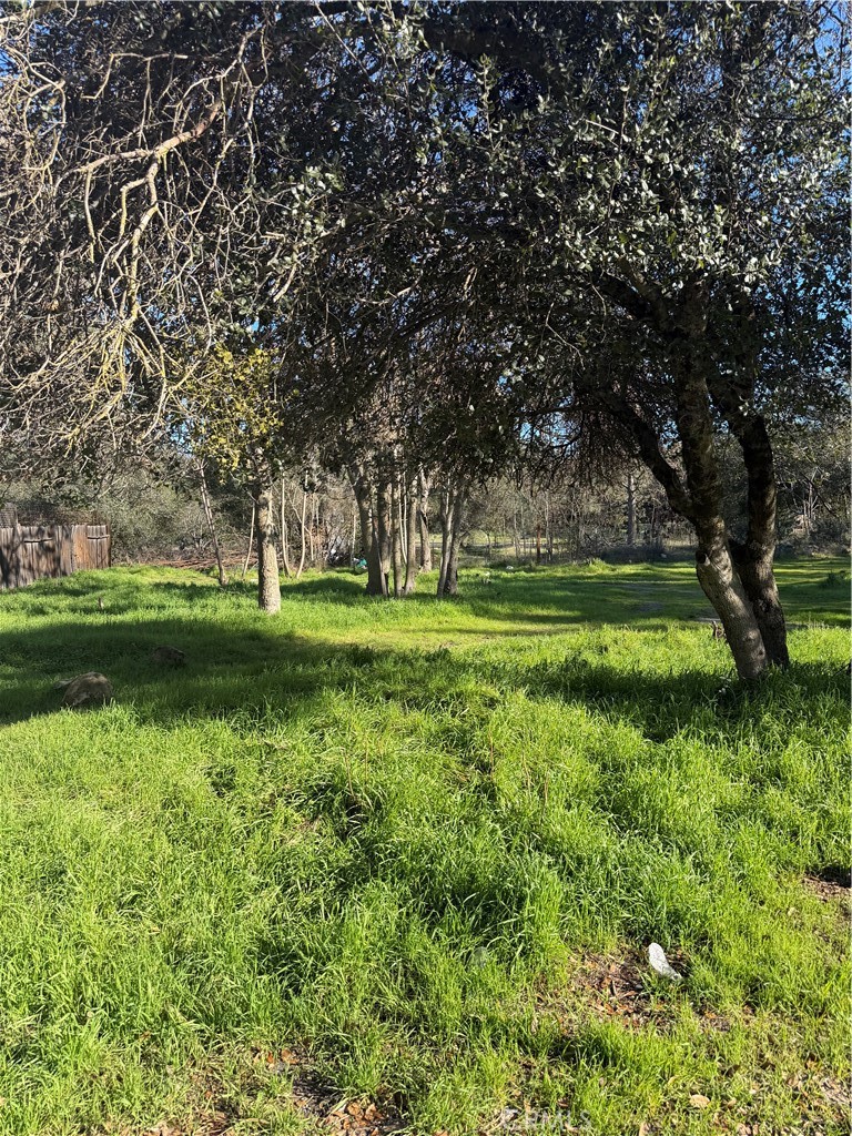 3606 Oleander Property Photo 5