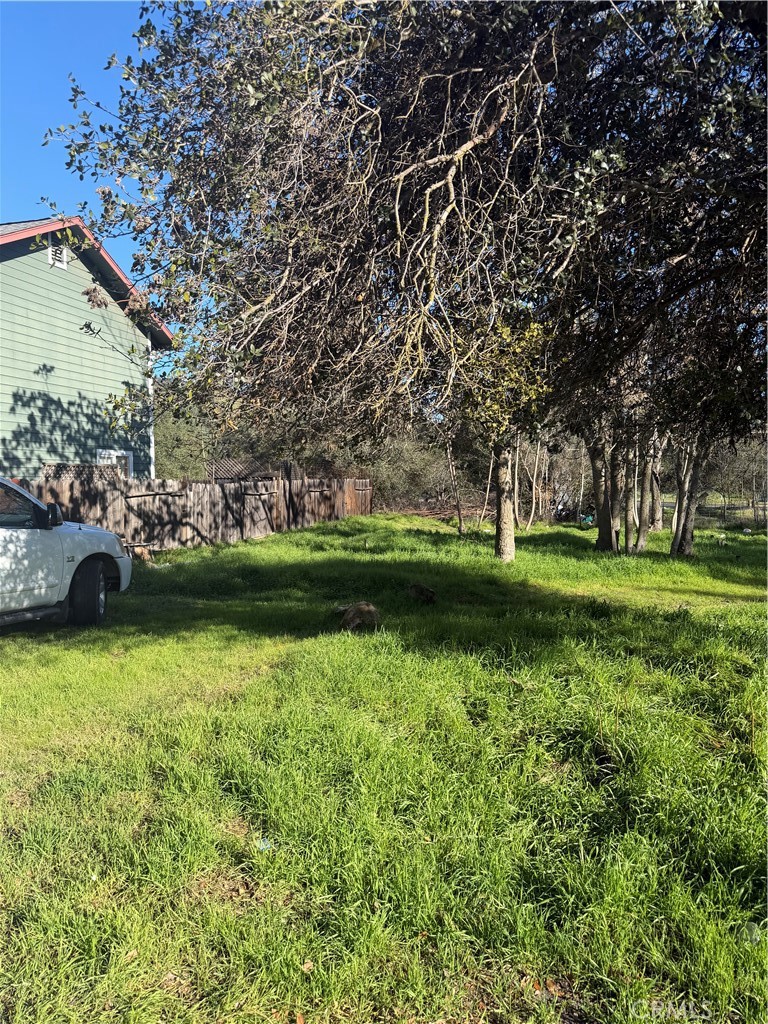 3606 Oleander Property Photo 6