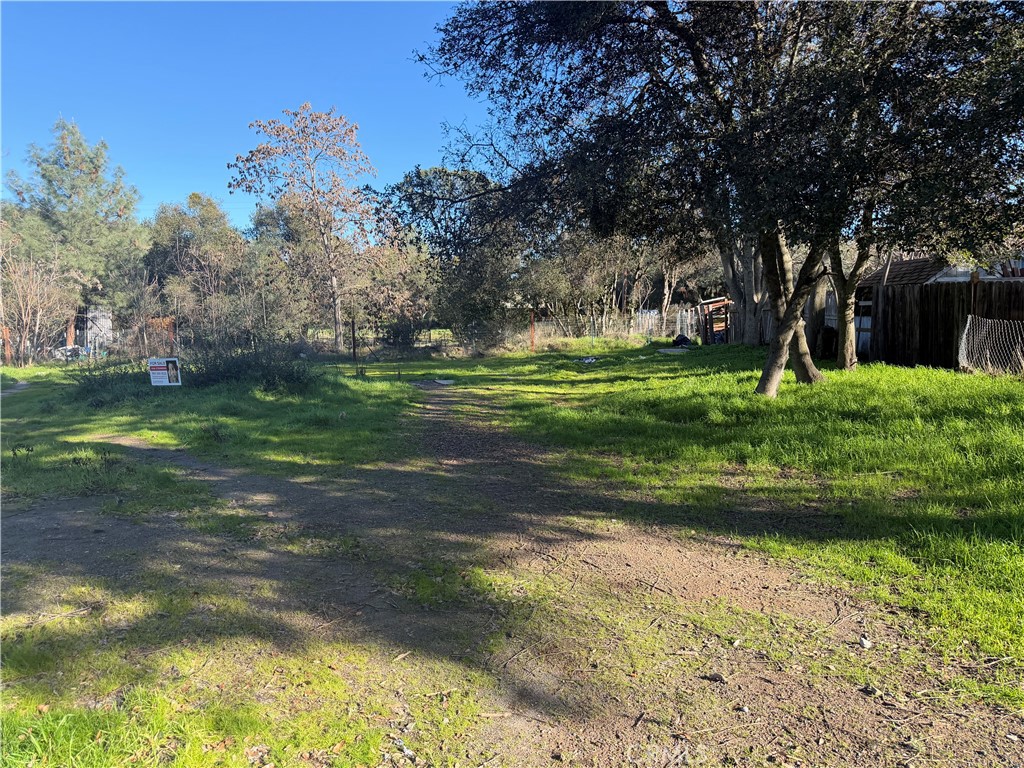 3626 Oleander Property Photo 1