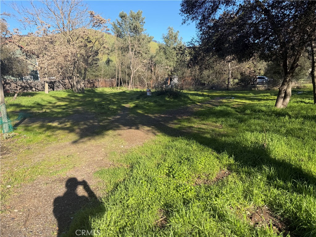 3626 Oleander Property Photo 3