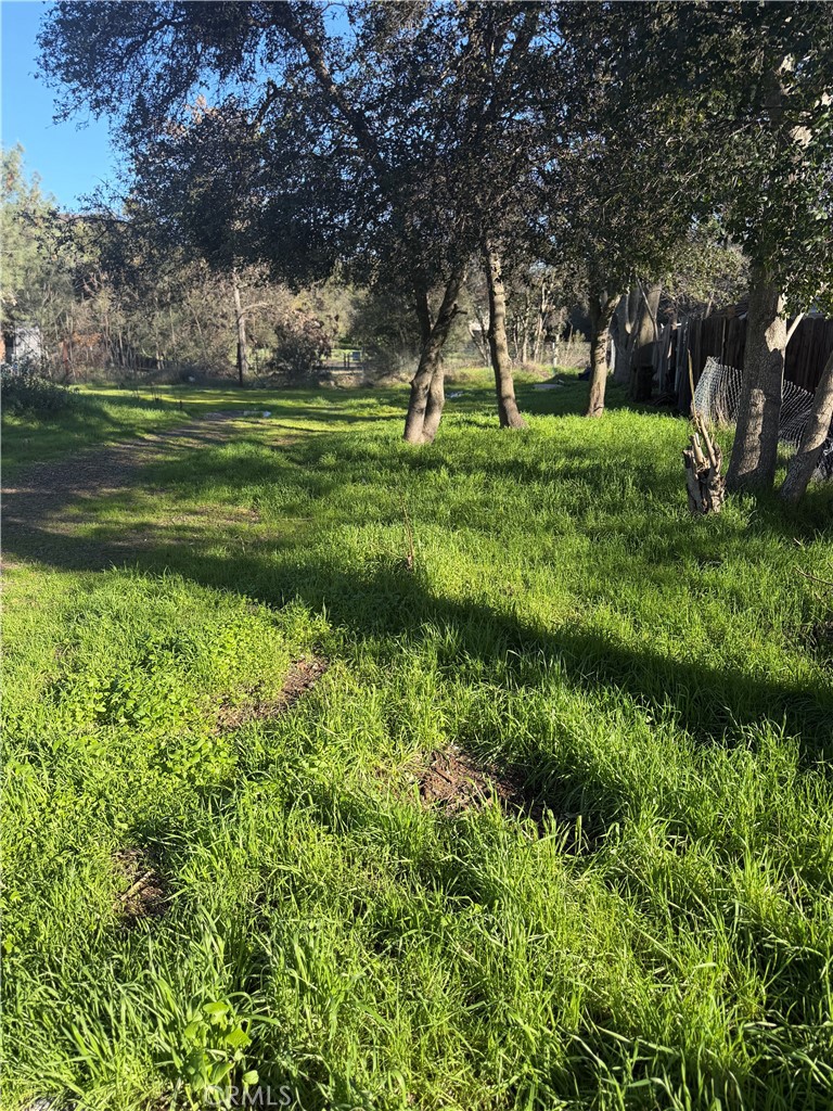 3626 Oleander Property Photo 4