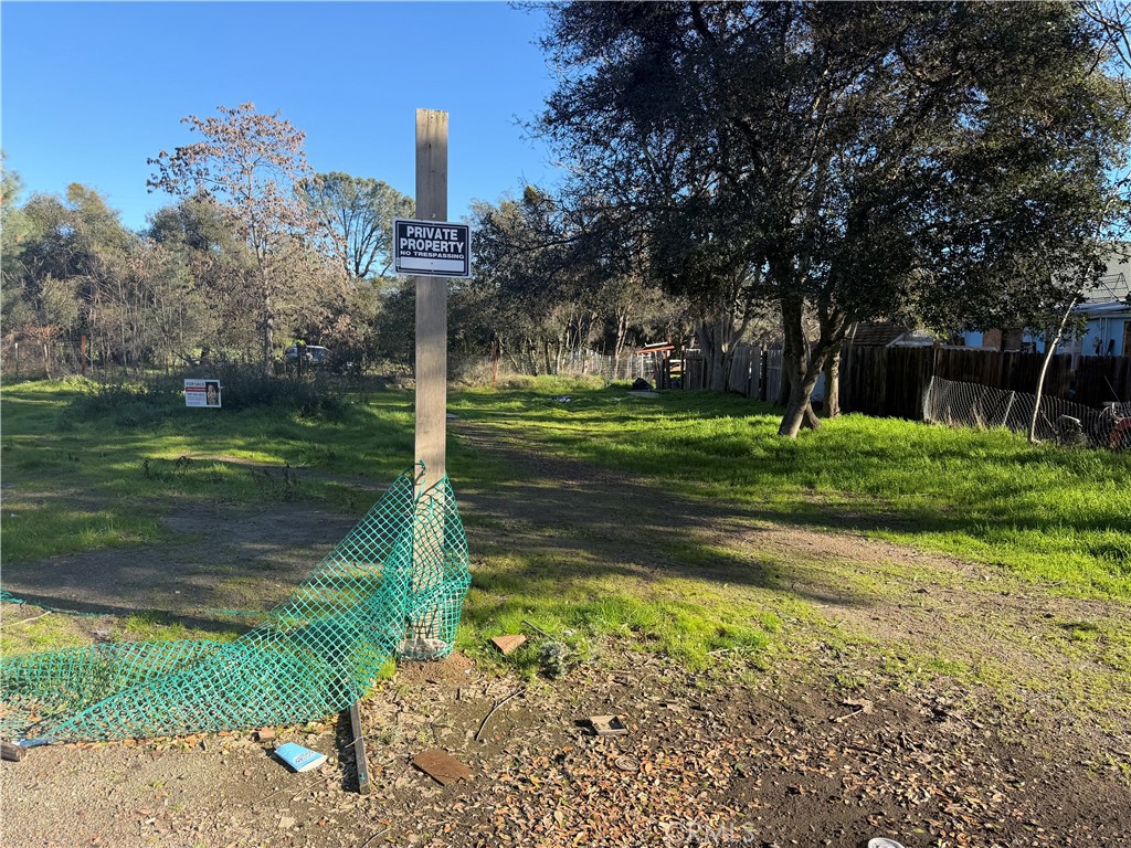 3626 Oleander Property Photo 6