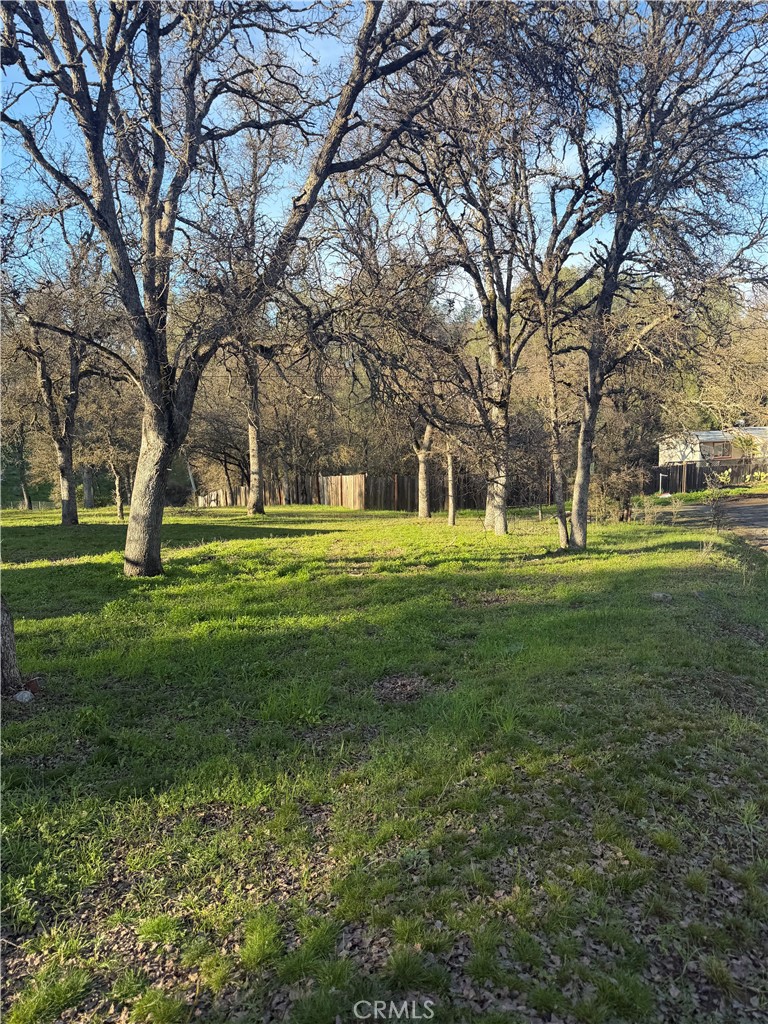 15545 Pine Property Photo 2