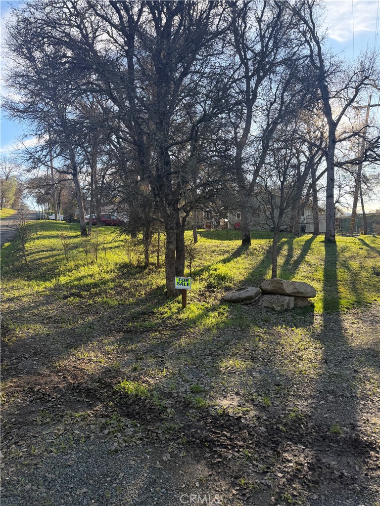 15545 Pine Property Photo 4