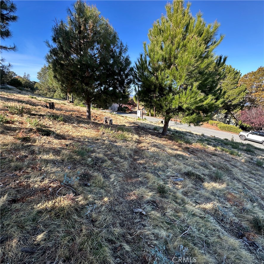 7826 Evergreen Property Photo 4