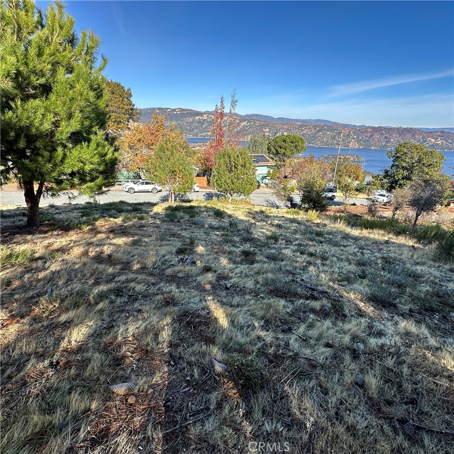 7826 Evergreen Property Photo 5