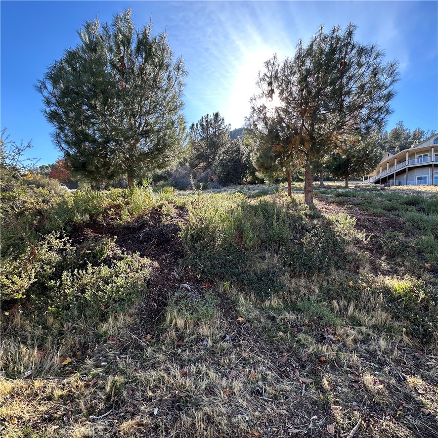 7826 Evergreen Property Photo 6