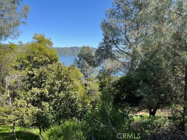 8444 Soda Bay Road Property Photo 1