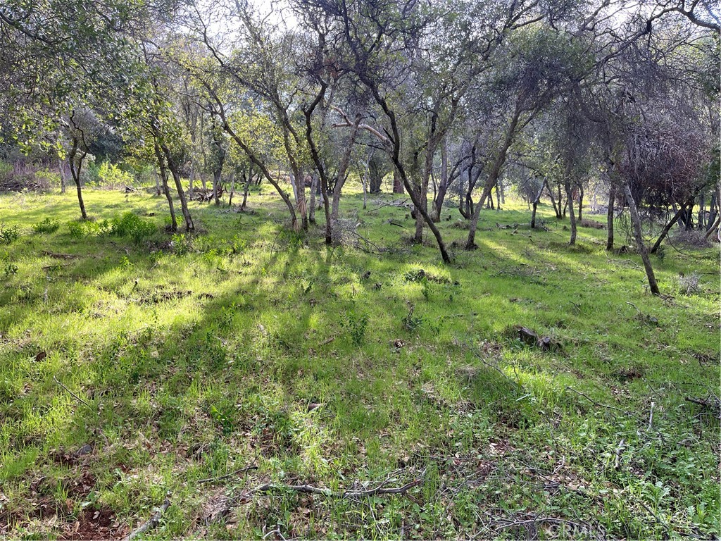 8452 Soda Bay Road Property Photo 5