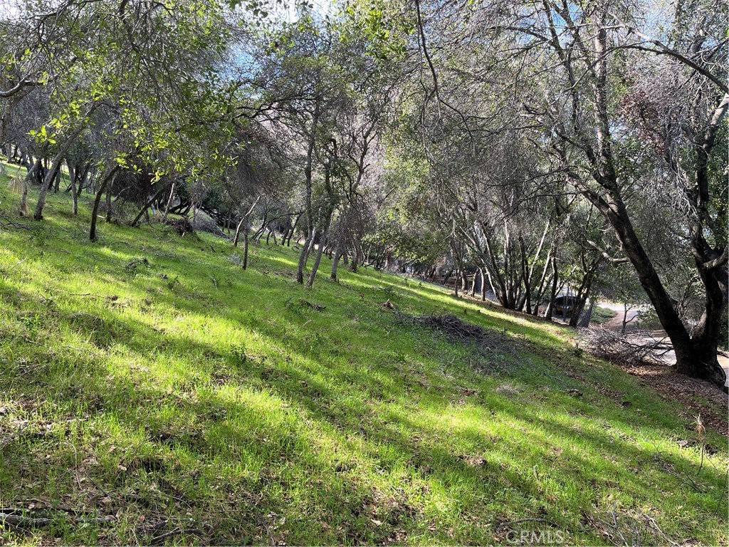 8452 Soda Bay Road Property Photo 6