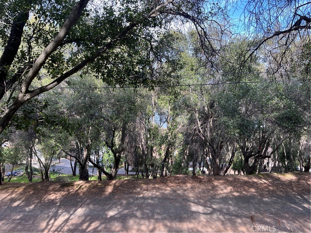 8452 Soda Bay Road Property Photo 7