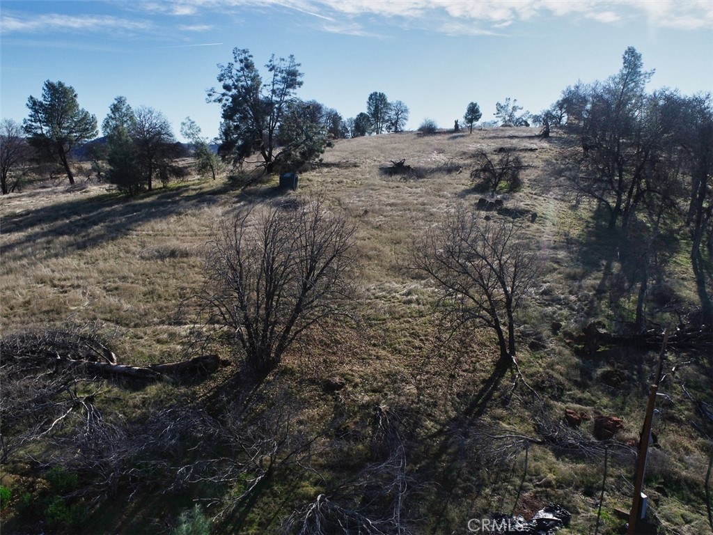 19755 Grange Property Photo 5