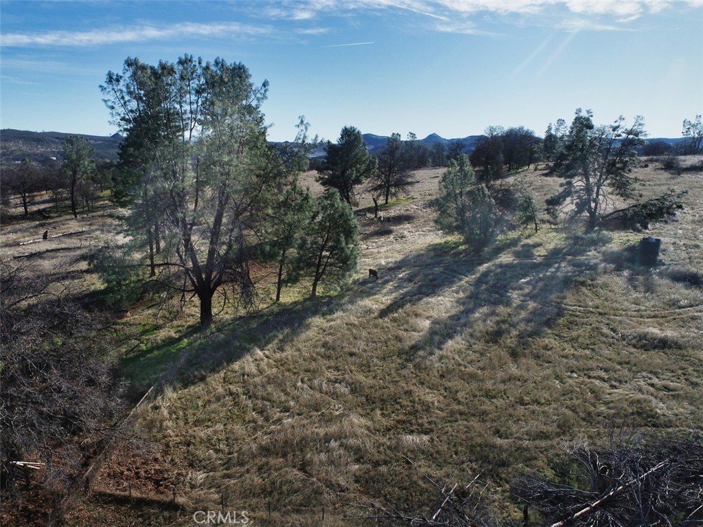 19755 Grange Property Photo 6