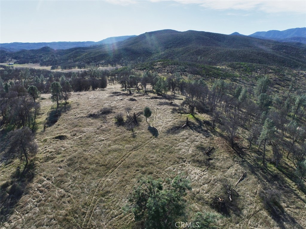 19755 Grange Property Photo 11