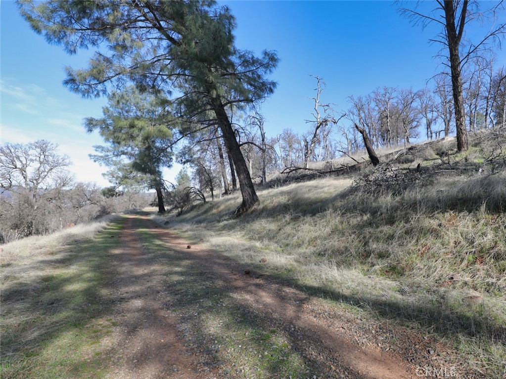 19755 Grange Property Photo 19