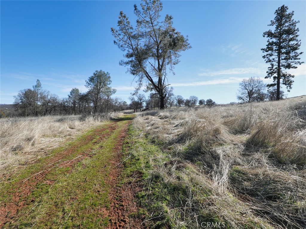 19755 Grange Property Photo 26