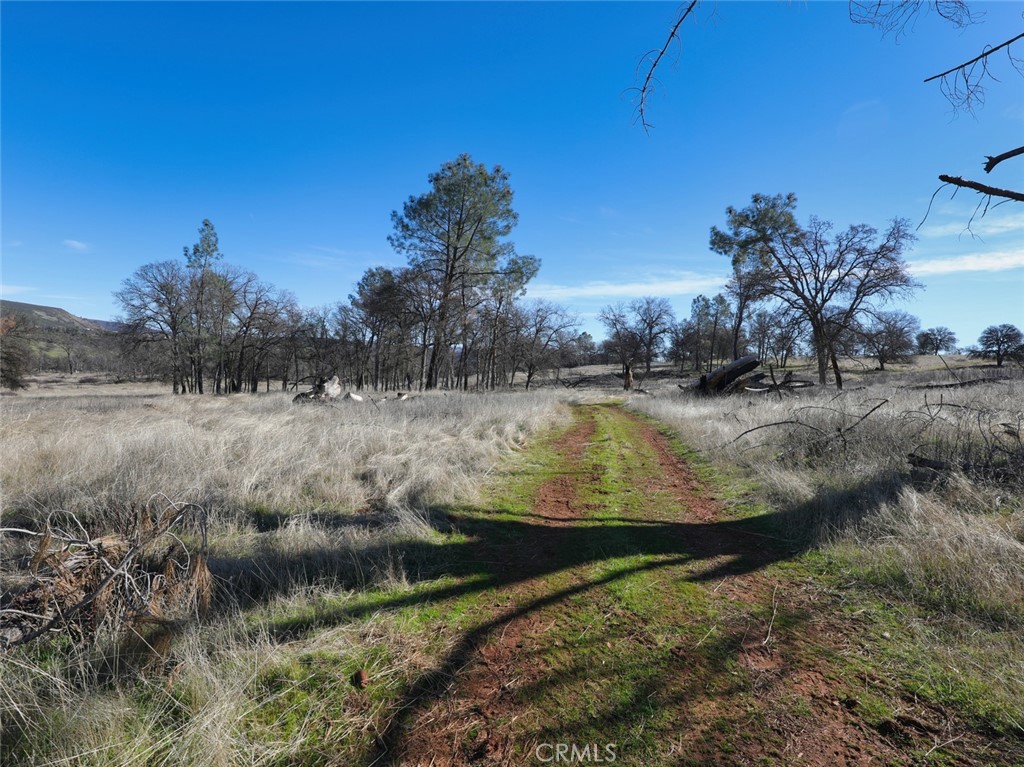 19755 Grange Property Photo 28