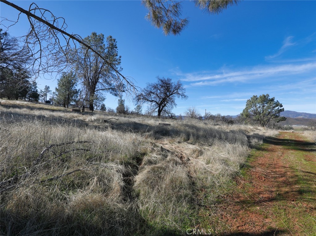 19755 Grange Property Photo 29