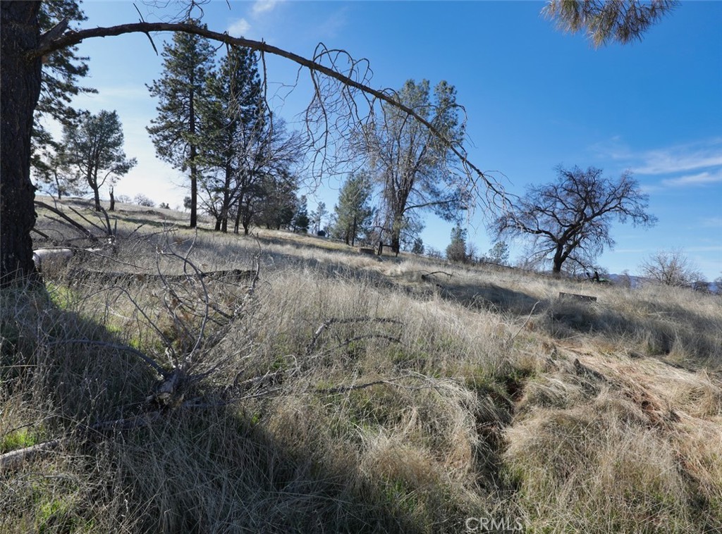 19755 Grange Property Photo 30