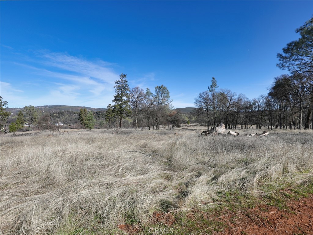 19755 Grange Property Photo 31
